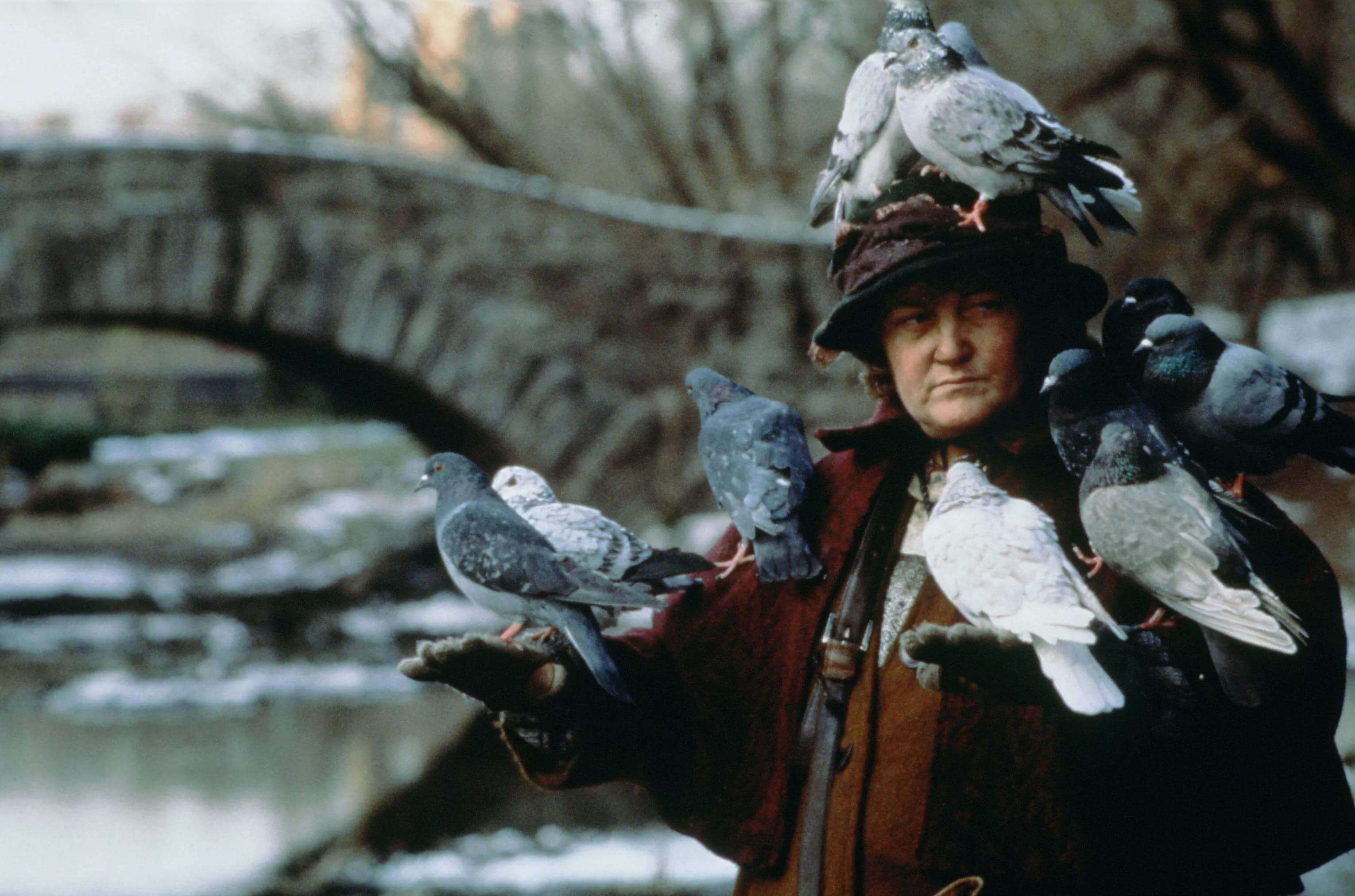 Pigeon Lady Central Park Winter